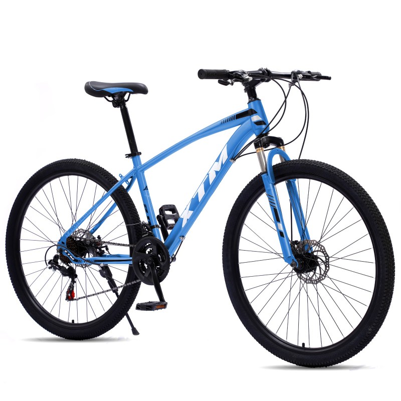 Bicicleta Blue Bike Rod 24 Full Paseo Dama C/canasto - Blue Bike